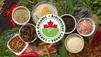 McCormick Gourmet, Premium quality Natural Herbs & Spices, Organic Shawarma Seasoning, 45g