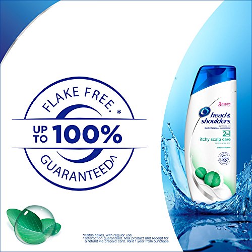 Head & Shoulders Itchy Scalp Care with Eucalyptus 2-in-1 Anti-Dandruff Shampoo + Conditioner 8.45 Fl Oz (Pack of 6)