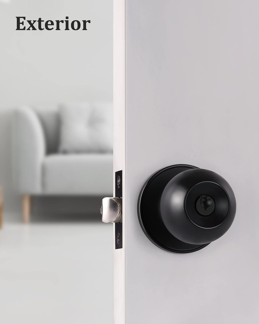 Lanwandeng 2 Pack Entry Door Knobs with Lock and Keys All Alike, Interior/Exterior Door Knob for Bedroom or Bathroom, Entrance Matte Black Door Locks