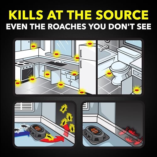 Raid Double Control Small Roach Baits, Child Resistant, For Indoor Use, Kills Roaches for 3 Months, 12 Count