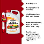 Spectracide Weed & Grass Killer with AccuShot Power Sprayer, 1.33 Gal