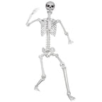 LaLamona 5.9ft/180cm Posable Halloween Skeleton, Life Size Skeleton Bones with Movable Joints for Halloween Graveyard Haunted House Spooky Scene Decor, 1pc