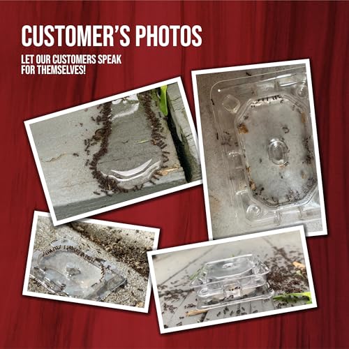 Catchmaster Defiant Liquid Ant Bait (50 uses) + 20 Reusable Stations (10 Stacked), Multi-Surface Ant Killer for Home, Ant Traps Indoor & Outdoor, Pest Control Traps, Reduce & Remove Ant Colonies