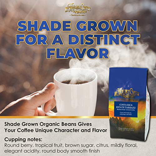 Mt. Whitney Costa Rica Estate Tarrazu Low Acid Coffee (Ground, 5 Lb)