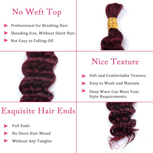 Human Braiding Hair for Boho Braids Burgundy Deep Wave Bulk Human Hair for Braiding 22 Inch 1 Bundle 50G #99J Wet and Wavy Curly Human Hair Red Braiding Hair Extensions No Weft Bundles for Braiding