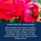 BioAdvanced All-In-One Rose and Flower Care, Granules, 4 lb