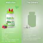 Wellvites Kids Multivitamin Gummies - Sugar Free, Vegan, Non-GMO, Vitamin A, D, B6, B12 and C - No Artificial Sweeteners, Gluten-Free, Gelatin-Free - 60 Count (30 Day Supply)