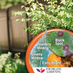 Bonide Captain Jack's Copper Fungicide, 32 oz Ready-to-Use Spray for Organic Gardening, Controls Common Diseases