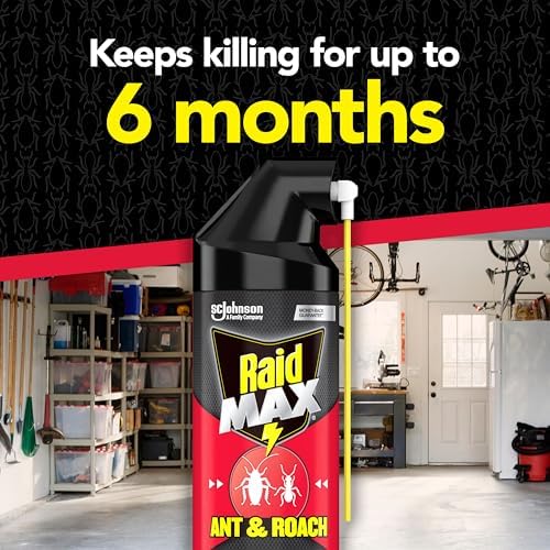 Raid Max Ant and Roach Spray (14.5 OZ,Pack - 1)