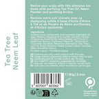 Arista Anti-Dandruff Shampoo Bar | Sulfate-Free, with Leaf Powder, Arnica & Tea Tree | Vegan Solid Shampoo Bar