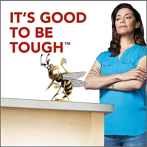 Raid Wasp Hornet Killer Spray (14 Ounce (Pack of 8))