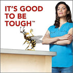 Raid Wasp Hornet Killer Spray (14 Ounce (Pack of 8))