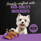 Cesar Classic Loaf in Sauce Wet Dog Food, Meaty Selects, 3.5 oz, 36 Count