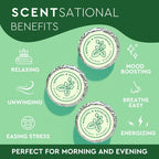 Cleverfy Shower Steamers Aromatherapy - 12 Pack of Menthol & Eucalyptus Shower Bombs with Essential Oils for Relaxation and Nasal Congestion. Valentines Day Gifts for Her and Him.