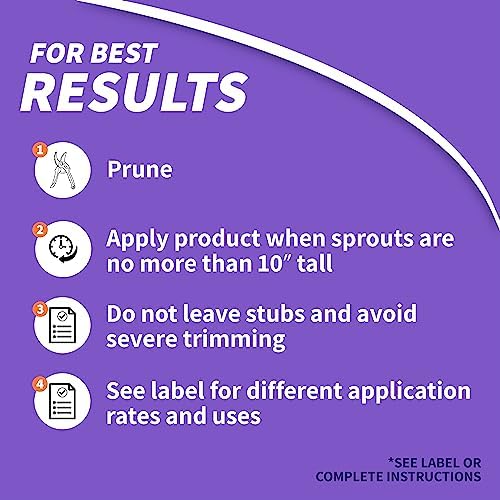 Bonide Sucker Punch, 8 oz Ready-to-Use Sprout Control Liquid with Brush Applicator, Plant Growth Regulator