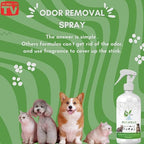 VoilaVe HOCL Spray for Dogs & Cats - Hypochlorous Acid Spray for Pets, Antiseptic Spray - Dog Wound Spray for Skin Irritation, Itch Relief, Infection, Allergy, Rashes - Safe for All Animals - 8 OZ