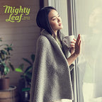 Mighty Leaf Tea - Marrakesh Mint - 100 Pouches Foil Wrapped