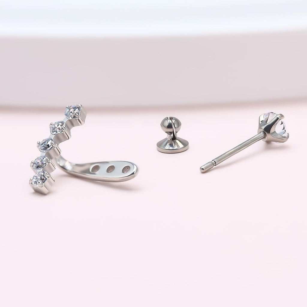 Limerencia F136 Hypoallergenic Pure Titanium Earrings for Women