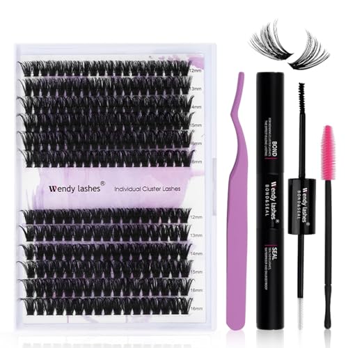 DIY lash Extension Kit 60D+80D Lash Cluster Kit with 240 PCS C/D Curl 12-16mm Mixed,Individual Lashes Clusters Lash Band and Seal Cluster Lash Applicator Individual Lashes Kit(60P/80P D12-16mm Kit)