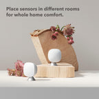 ecobee Smart Sensor 2 Pack - Comfort, Security, Energy Savings, Temperature and Occupancy Detection - Compatible with ecobee Thermostats for Home