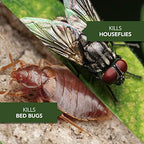 BioAdvanced Home Pest Germ Killer Indoor & Outdoor Insect Killer, Ready-to-Use, 24 oz