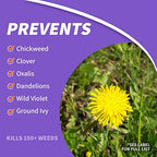 Bonide Chickweed, Clover and Oxalis Killer, 16 oz Concentrate, Controls Weeds and Roots without Harming Lawn