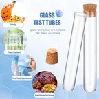 Thyle Glass Test Tubes with Cork Clear Stoppers Round Bottom Lab Test Alcohol Tampons Glass Tubes Container Vials for Plants Scientific Experiments Candy Storage Party Favors (50pcs,15 * 100mm/13ml)
