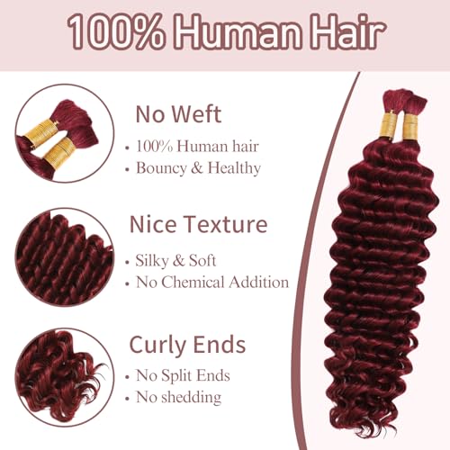 Burgundy Human Braiding Hair 100g 18 Inch Deep Wave Bohemian Hair for Braiding, No Weft, 99J, Boho Braids, 2 Bundles/Pack