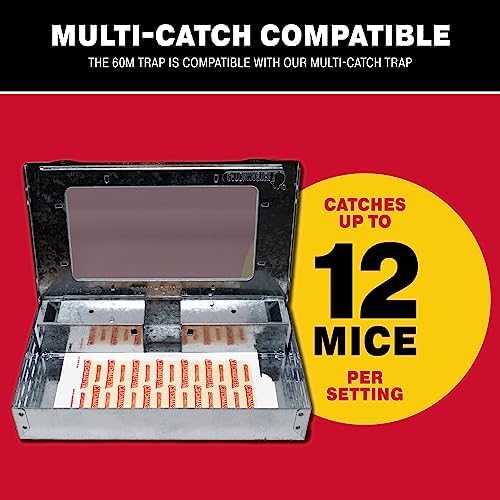 Catchmaster Pro Strength Mouse & Insect Glue Board Set, 60pk & 36-pk, Mouse Traps Indoor for Home, Pet Safe Pest Control