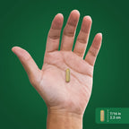 Piping Rock Berberine HCL Capsules 500mg | 120 Pills