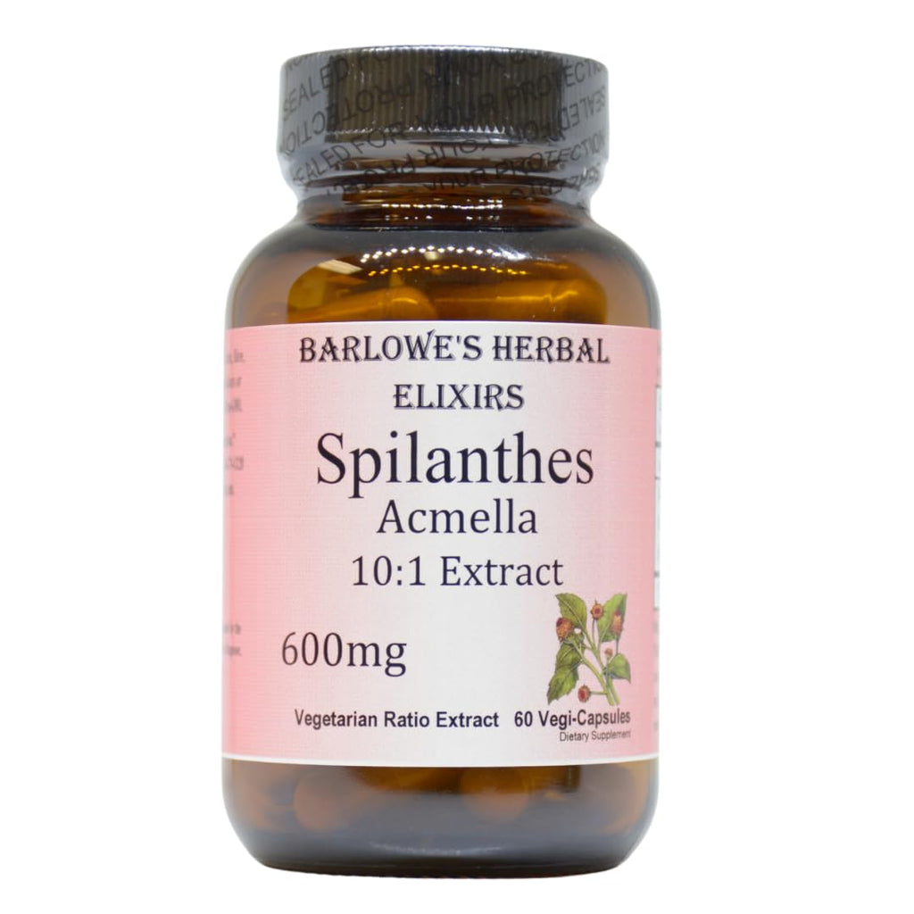 Spilanthes Acmella Extract | 600mg Per Capsule | Herbal Supplement for Natural Wellness & Balance | 60 Vegan Capsules | Stearate-Free, Glass Bottled for Freshness