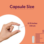 BESTVITE AKG (Alpha Ketoglutaric Acid) 1000mg per Serving (240 Veg Caps)