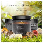 Shroom Vroom: 10-in-1 Mushroom Supplement, Lion’s Mane, Reishi, Cordyceps, Chaga, Turkey Tail, Tremella, Shiitake, Maitake, King Trumpet & Enoki, Brain Boost, Immune Support (360 count Pack of 3)