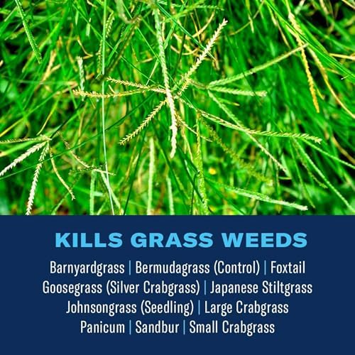 BioAdvanced Bermudagrass Control for Lawns, Ready-to-Spray, 32 oz