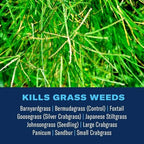 BioAdvanced Bermudagrass Control for Lawns, Ready-to-Spray, 32 oz