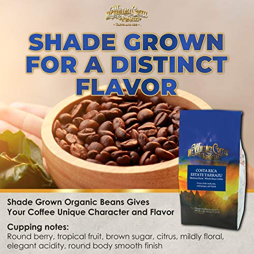 Mt. Whitney Costa Rica Estate Tarrazu Low Acid Coffee (Whole Bean, 5 Lb)