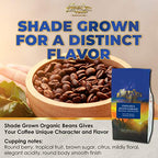 Mt. Whitney Costa Rica Estate Tarrazu Low Acid Coffee (Whole Bean, 5 Lb)