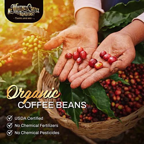 Mt. Whitney Guatemala Adiesto Cooperative Organic, Low Acid - Whole Bean Coffee (Whole, 2 lb)