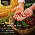 Mt. Whitney Guatemala Adiesto Cooperative Organic, Low Acid Coffee - Ground Coffee (Ground, 12oz)