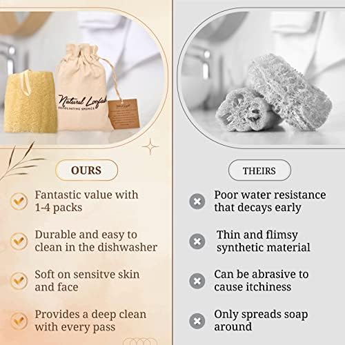 All Natural Loofah Sponge, Pack of 2 Real Egyptian Bath & Shower Exfoliating Loofa Scrubber Sponges for Face, Back & Body, Eco Friendly, No Toxic Chemicals, 6" x 6" by Crafts of Egypt
