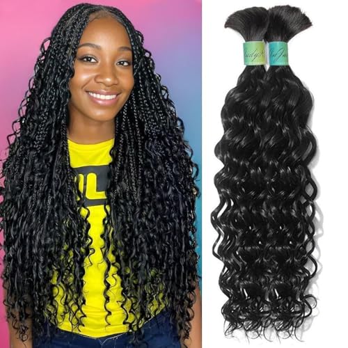 Wet and Wavy Human Braiding Hair No Weft Human Curly Hair for Boho Braids 100% Brazilian Virgin Human Hair Bulk for Micro Braids Hair 100g(2 bundles/1 pack)(24Inch,Natural Black)