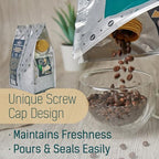 Glorybrew Low Acid Whole Bean Coffee 1 lb I Medium Roast Beans I For Sensitive Stomachs - Less Irritation I Unique Screw Cap for Fresh Coffee I 100% Natural
