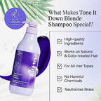 Eva NYC Lift Off Volume Shampoo