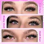 640Pcs Lash Extension Kit, DIY Eyelash Extension Kit Cluster Curl Individual Lashes with Lash Bond and Seal, Tweezers DIY Eyelash Extension Kit for Self Application At Home(30p+40p 8-15MM)