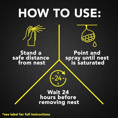Raid Wasp and Hornet Killer (17.5 Ounce (Pack of 1))