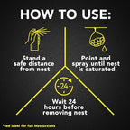 Raid Wasp and Hornet Killer (17.5 Ounce (Pack of 1))