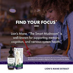Host Defense Mushrooms Lion's Mane Extract - Lion's Mane Liquid Supplement for Brain Health - Mushroom Support for Focus & Memory Function - Immune & Nervous System Support - 2 fl oz (60 Servings)*