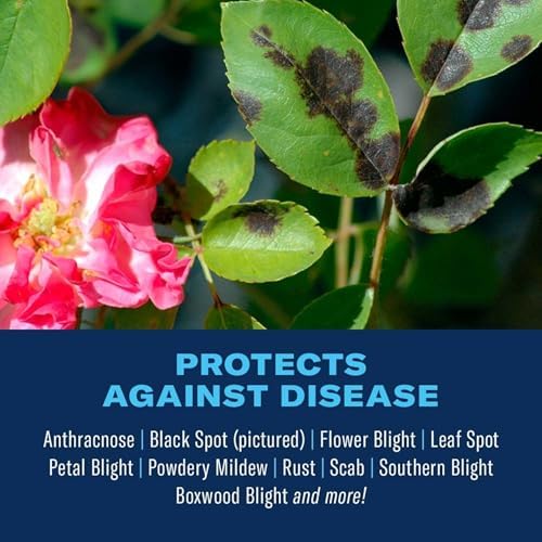 BioAdvanced Disease Control for Roses, Flowers and Shrubs, Concentrate, 32 oz