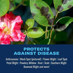 BioAdvanced Disease Control for Roses, Flowers and Shrubs, Concentrate, 32 oz