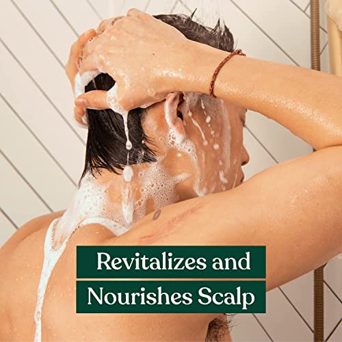 The Body Shop Ginger Scalp Care Shampoo – For Dry, Flaky Scalp – With Vegan Silk Protein – 250ml